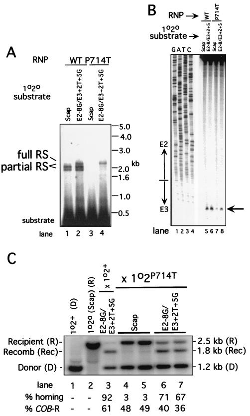 FIG. 4