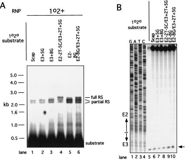 FIG. 3