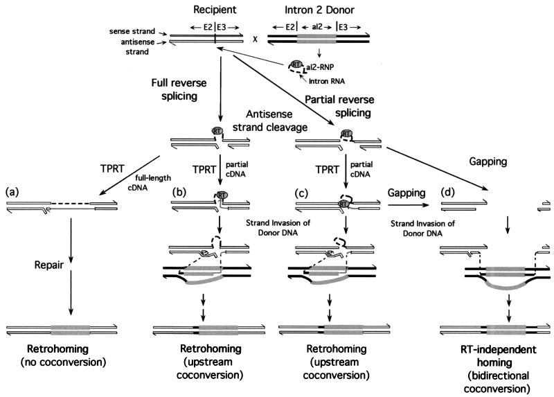 FIG. 6