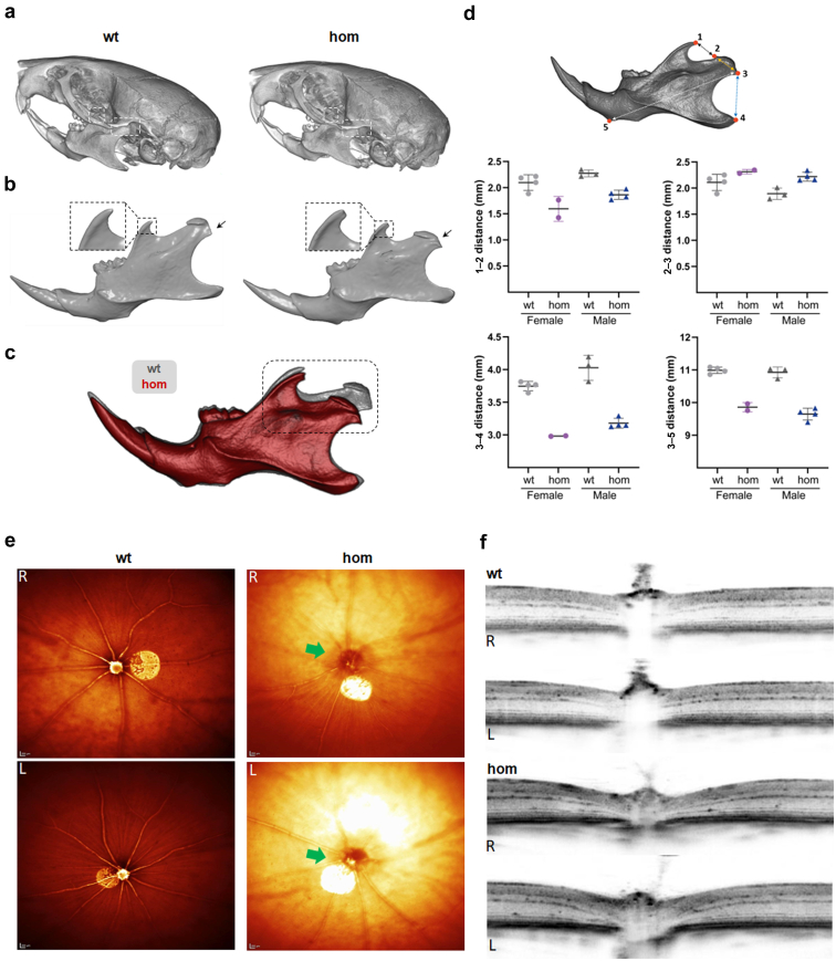 Figure 3