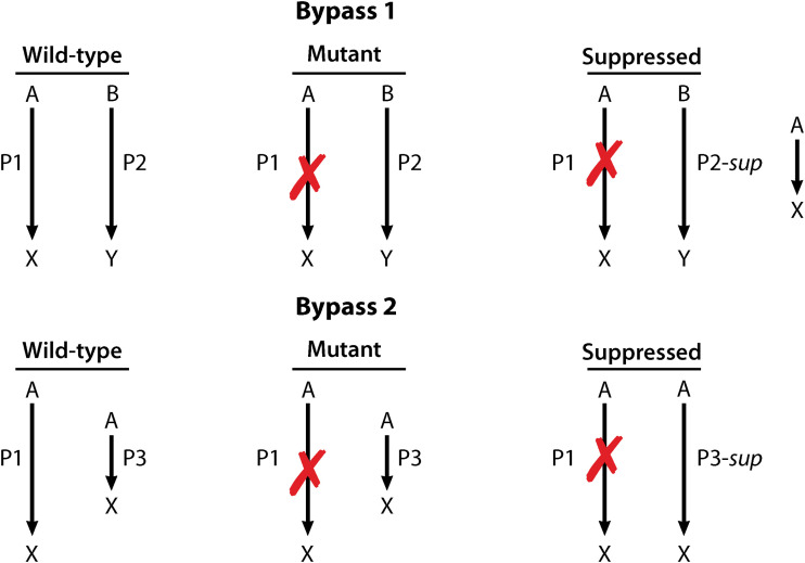 FIG 2