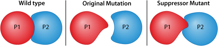 FIG 3