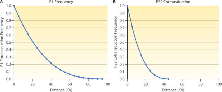 FIG 6