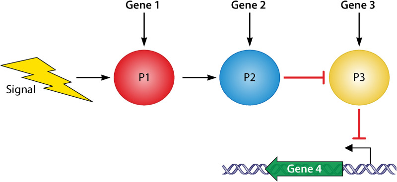 FIG 4