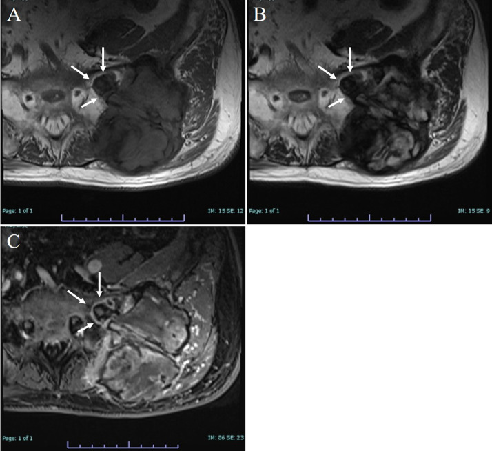 Fig. 3.