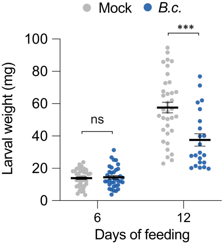 Fig. 6