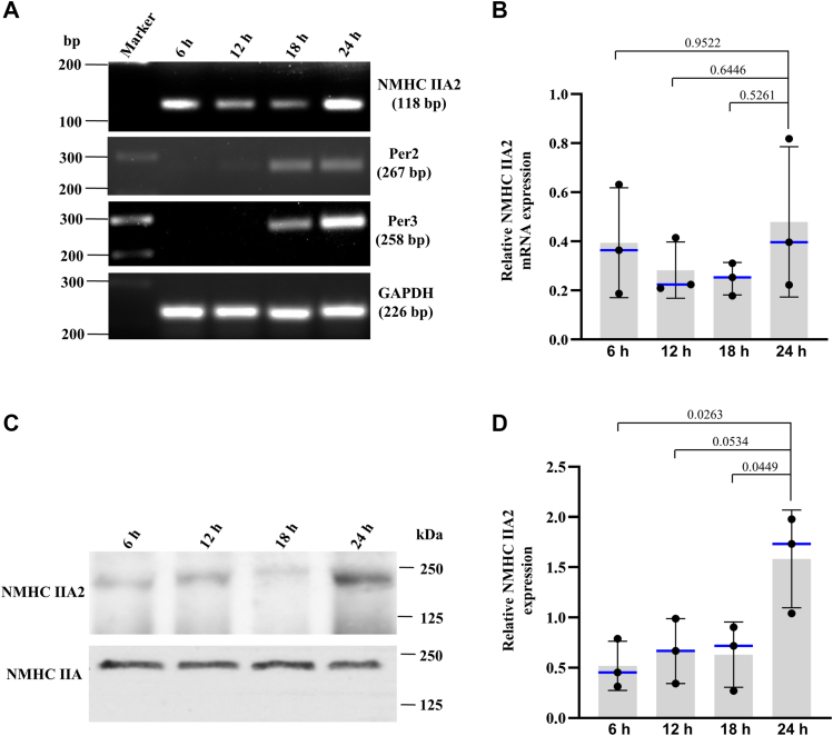 Figure 6