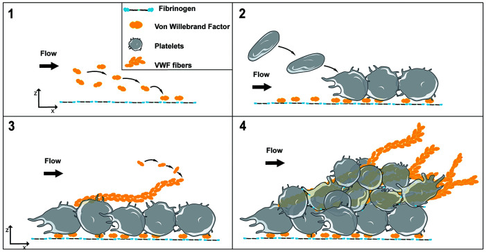 Figure 7.