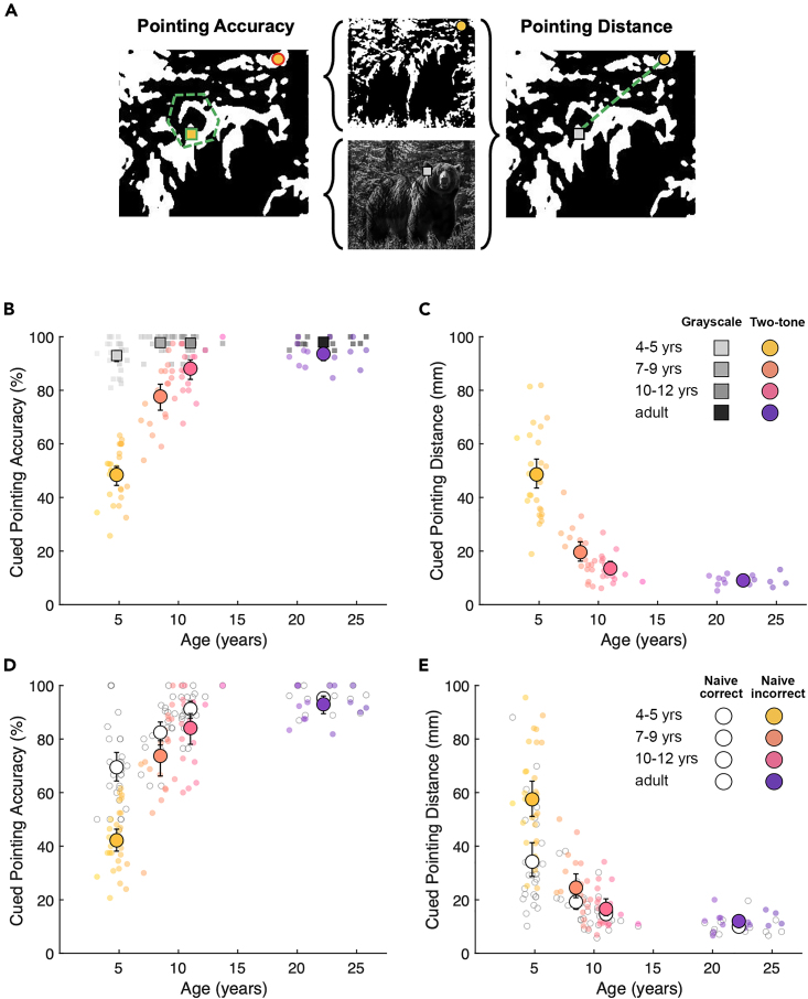 Figure 2