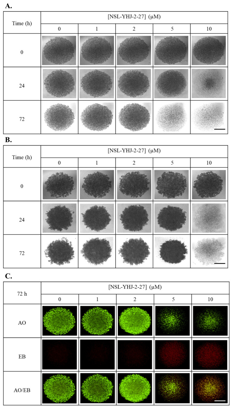 Figure 7