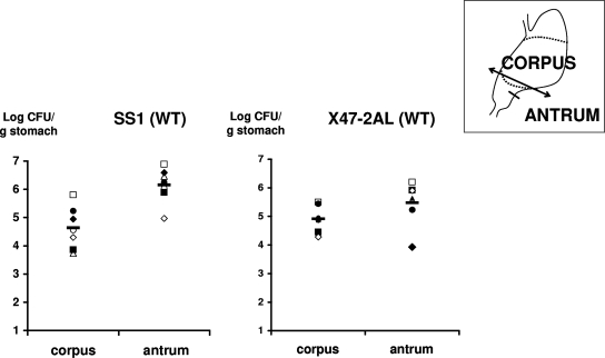 FIG. 3.