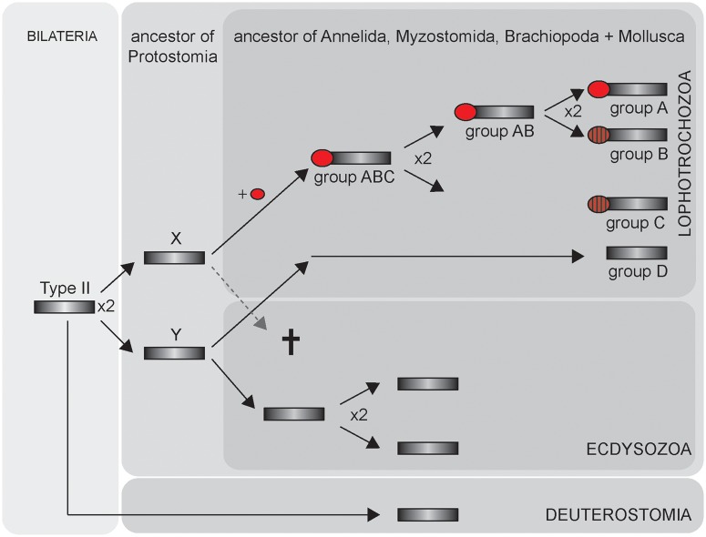 Fig. 4.—