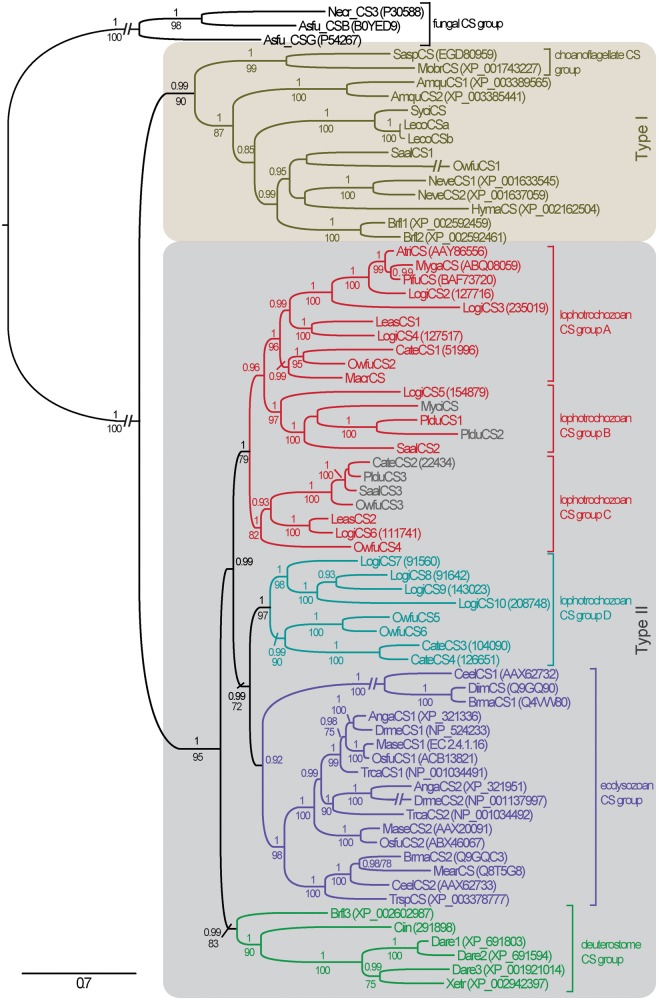 Fig. 2.—