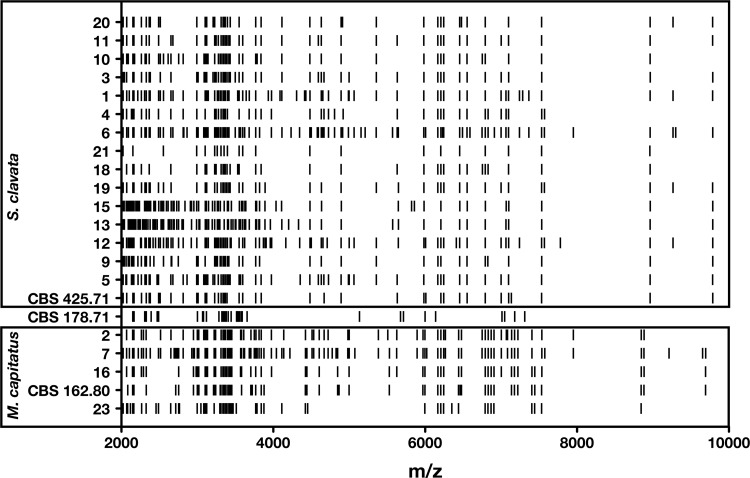 FIG 2