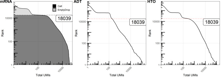 Figure 6—figure supplement 1.