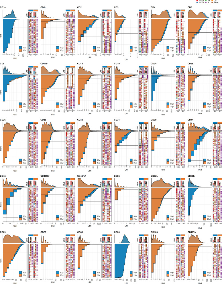 Figure 3—figure supplement 1.