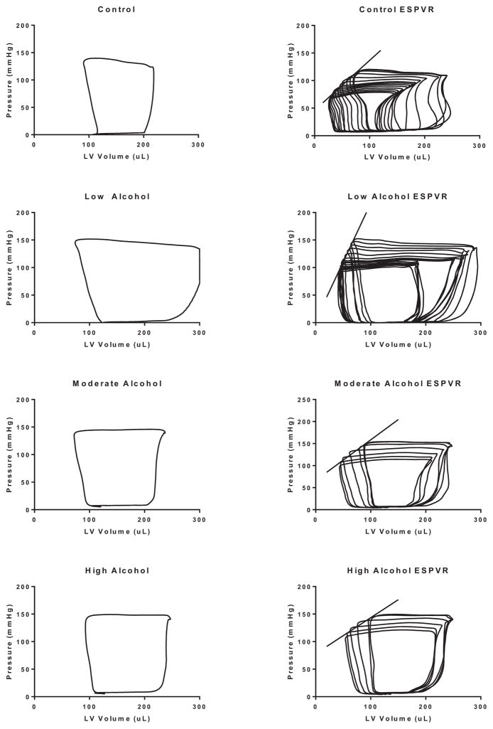 Fig. 10