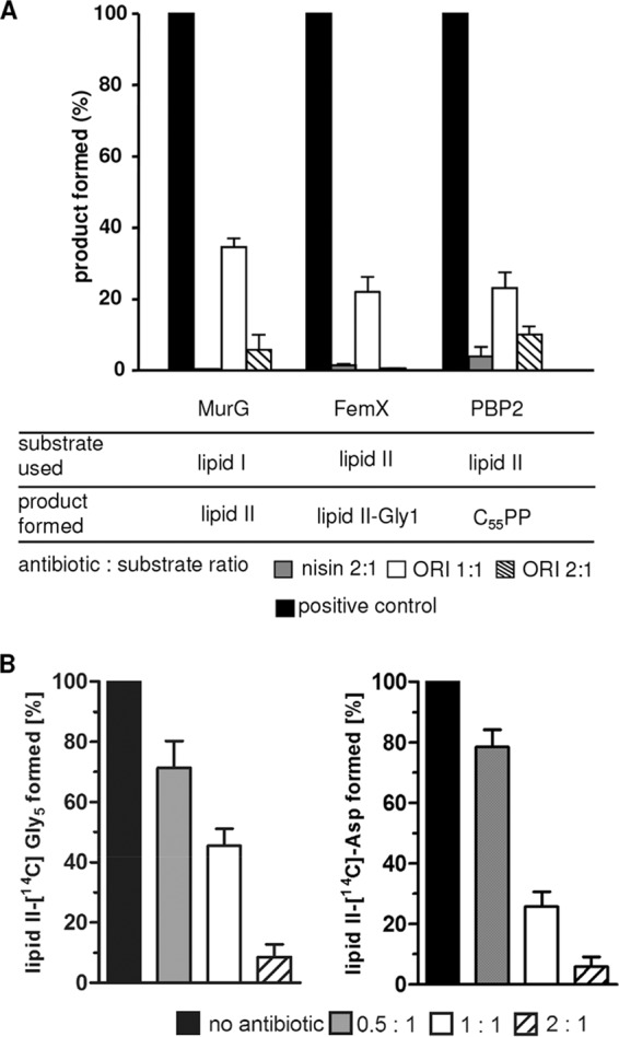 FIG 2