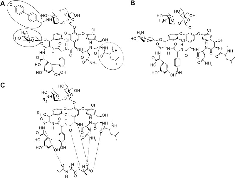 FIG 1