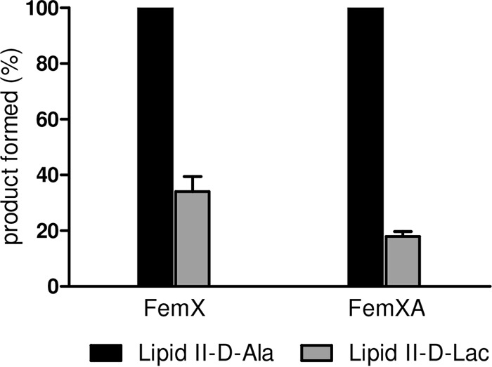 FIG 6