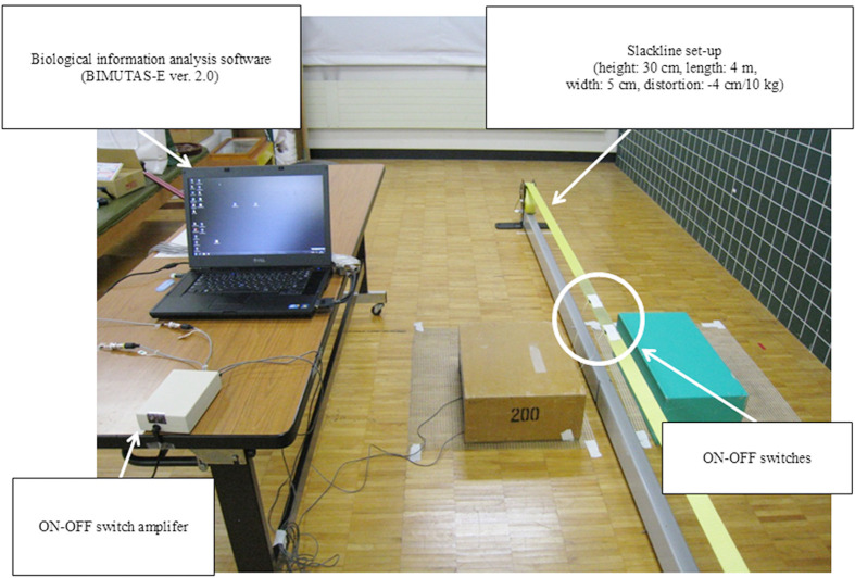 Fig. 1.