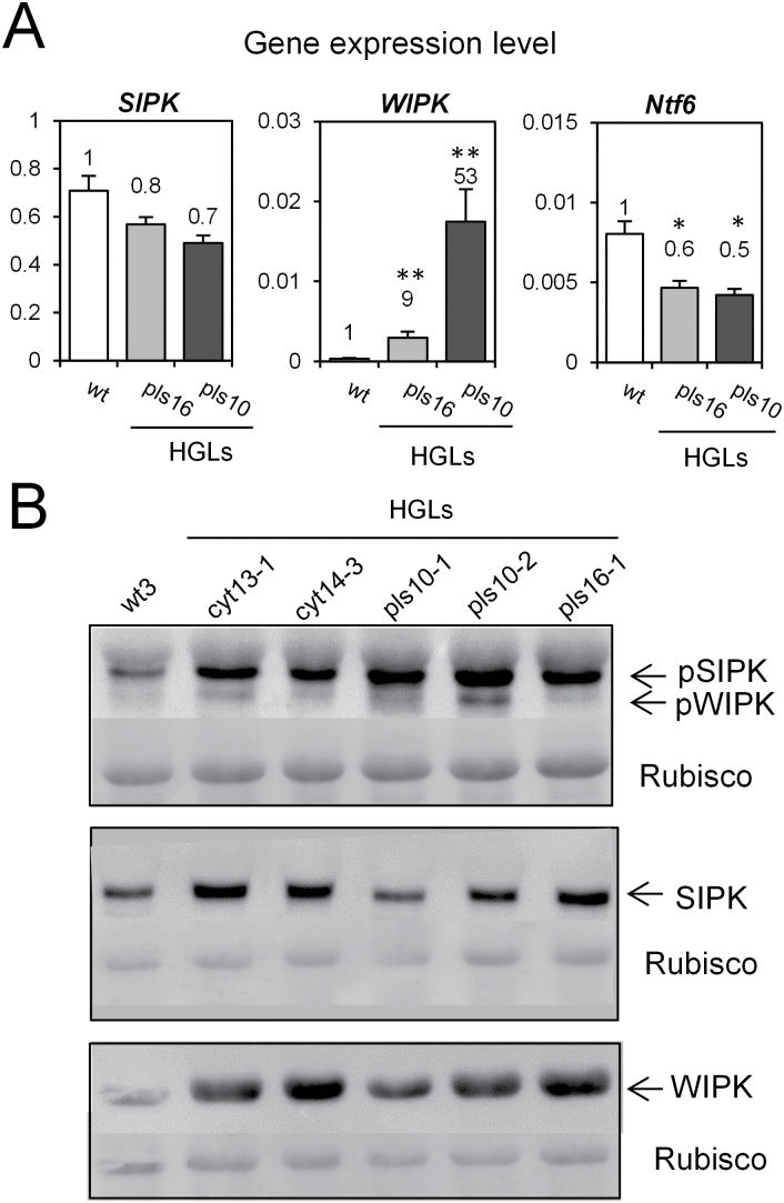 Fig. 2.