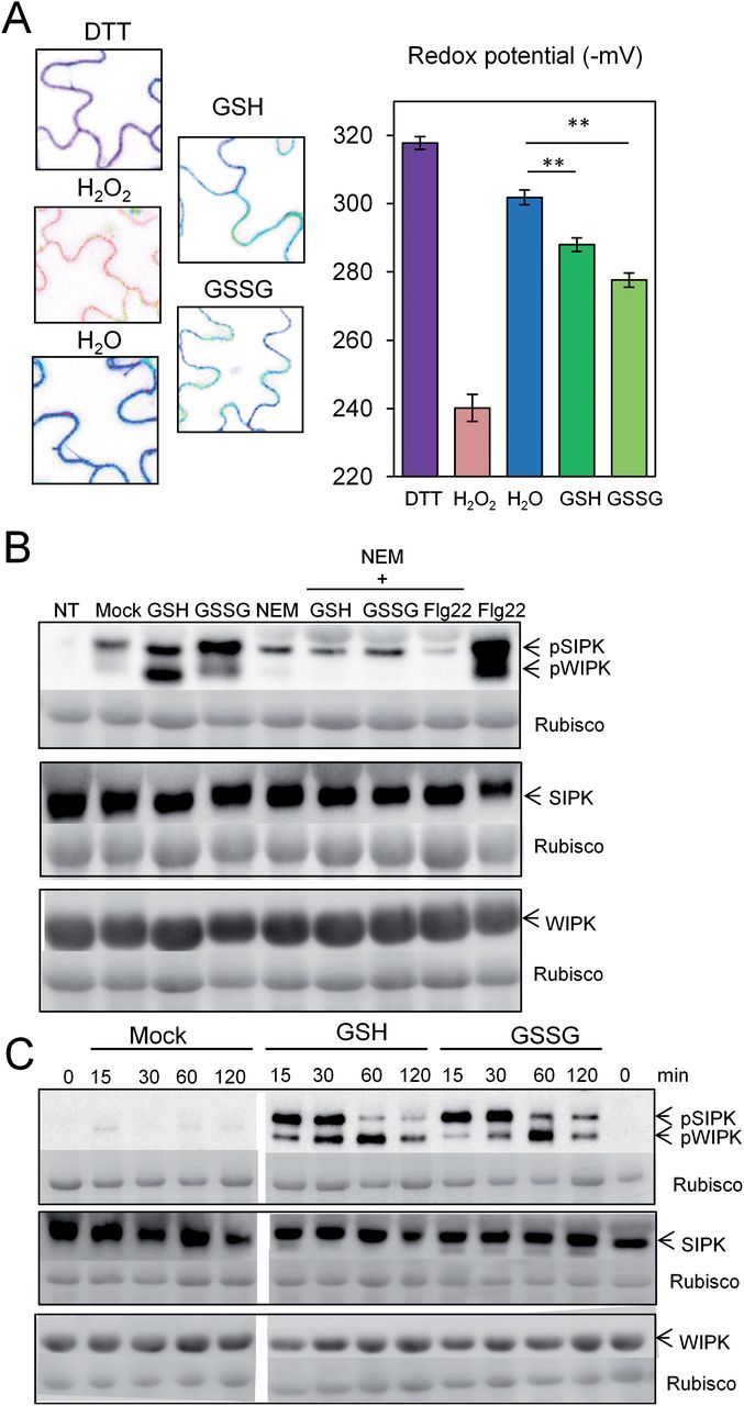 Fig. 3.