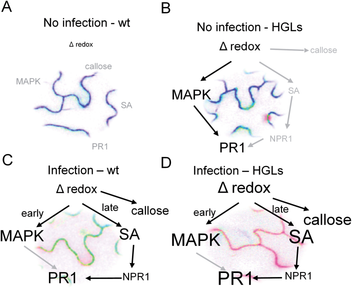 Fig. 10.