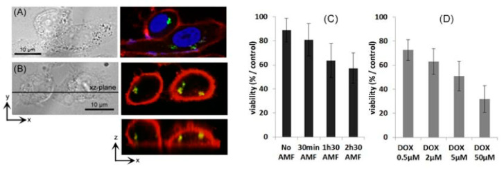 Figure 14