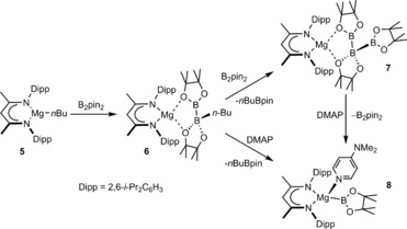 Scheme 1