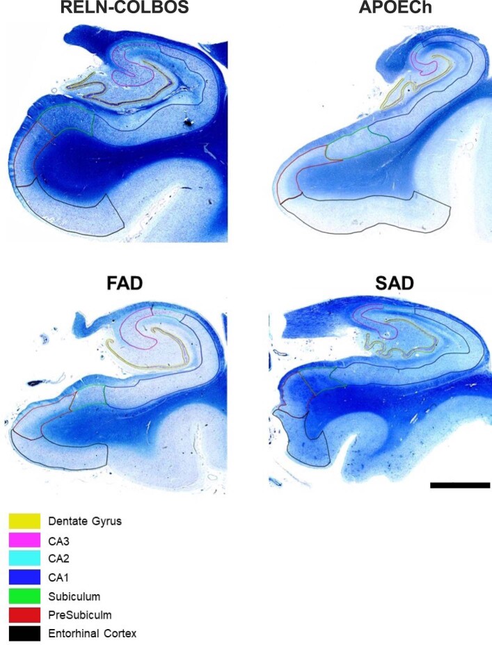 Extended Data Fig. 9