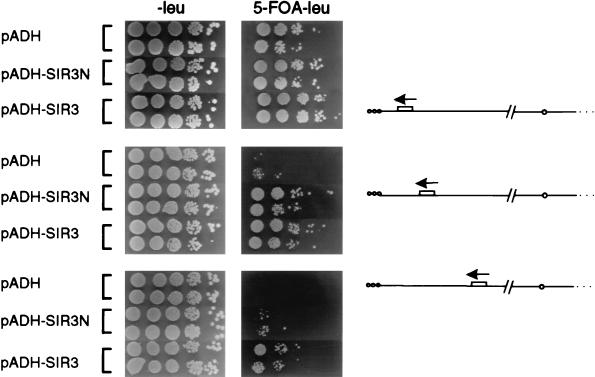 FIG. 4