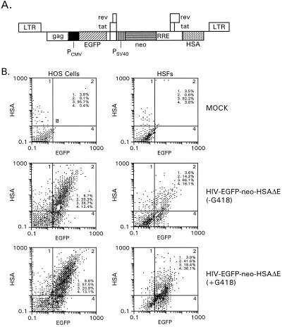 FIG. 6