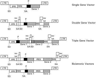 FIG. 1