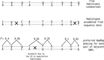 Figure 9.