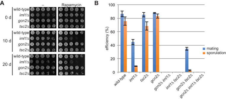 Figure 6—figure supplement 3.