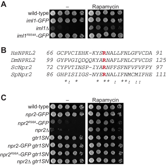 Figure 3—figure supplement 3.