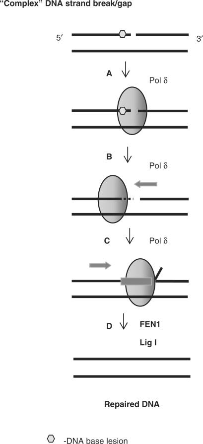 Figure 9.