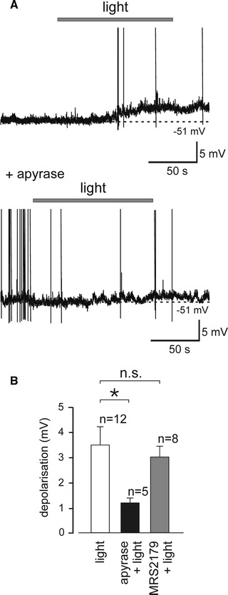 Fig. 2