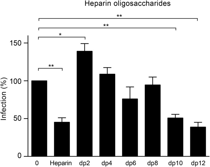 FIG 7