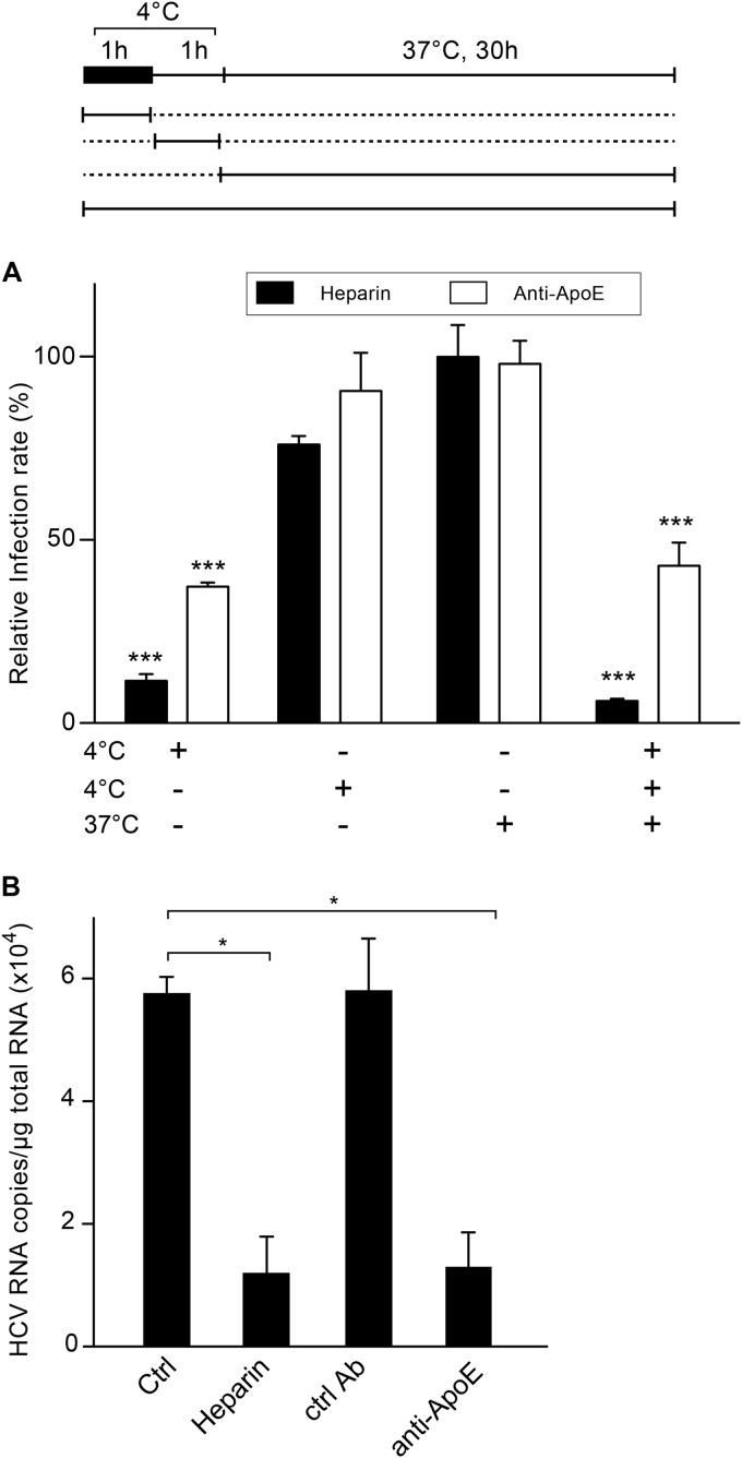 FIG 5