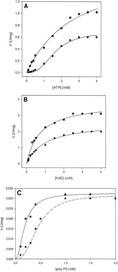 FIG. 5.