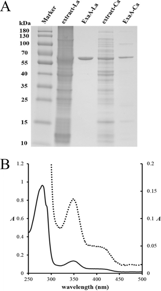 FIG 2