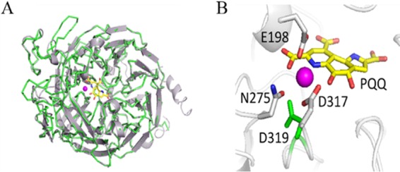 FIG 5