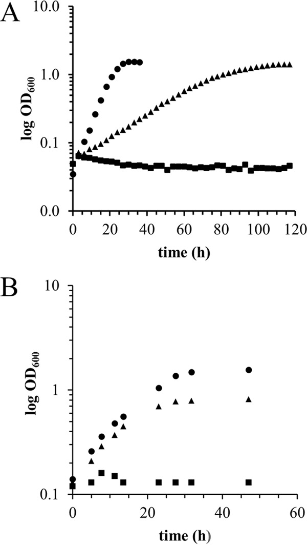 FIG 1