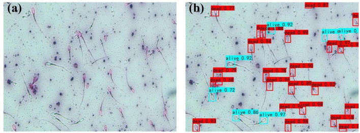 Figure 11