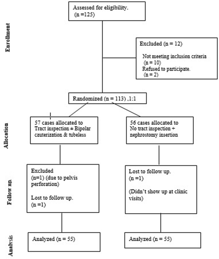 Fig. 1