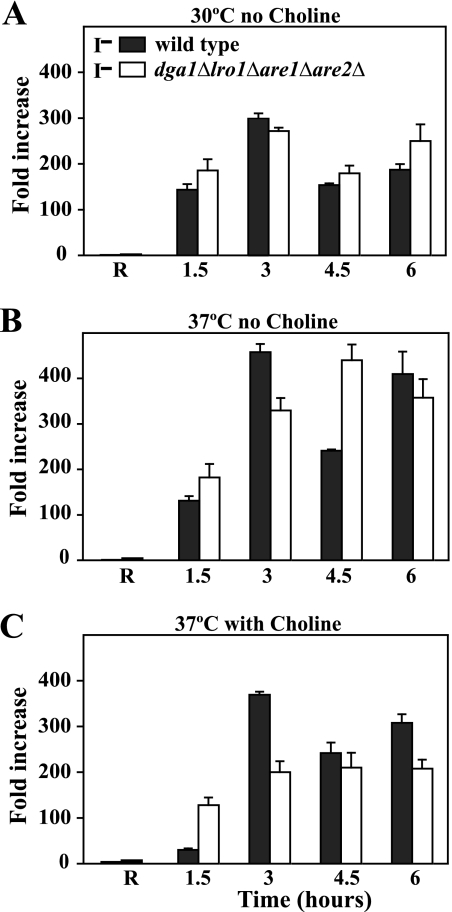 FIGURE 5.