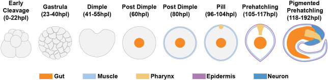 Fig. 7.