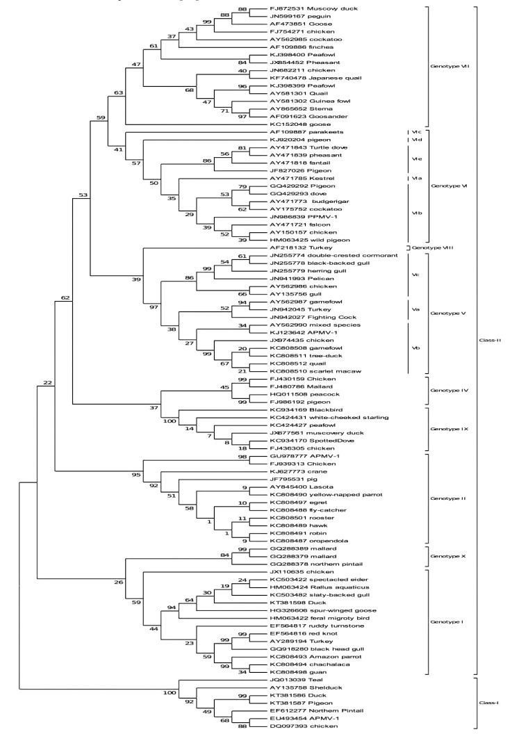 Fig. (3)